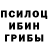 Псилоцибиновые грибы прущие грибы Daniel Medeiros