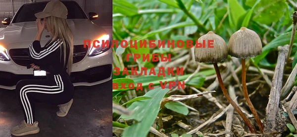 бутират Няндома