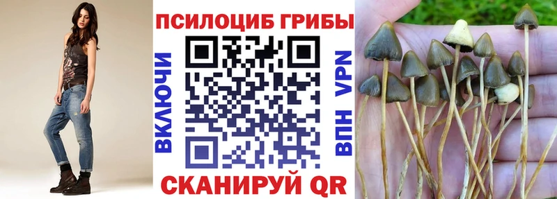 Псилоцибиновые грибы Psilocybe  Первоуральск 
