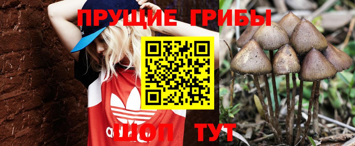 Псилоцибиновые грибы GOLDEN TEACHER Первоуральск